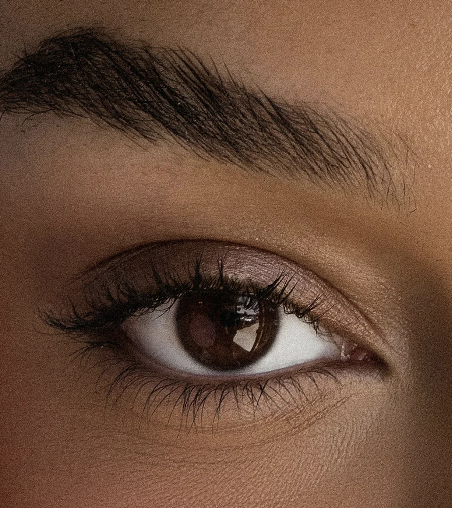 Close-up of a groomed, defined eyebrow and lashes